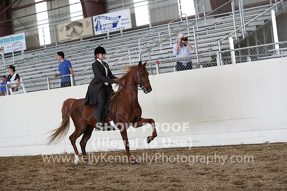 CA_Springfest19_FriPM_0698
