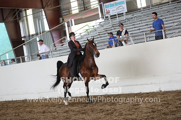 CA_Springfest19_FriPM_0700
