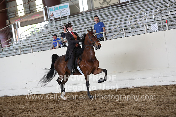 CA_Springfest19_FriPM_0701