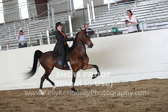 CA_Springfest19_FriPM_0702