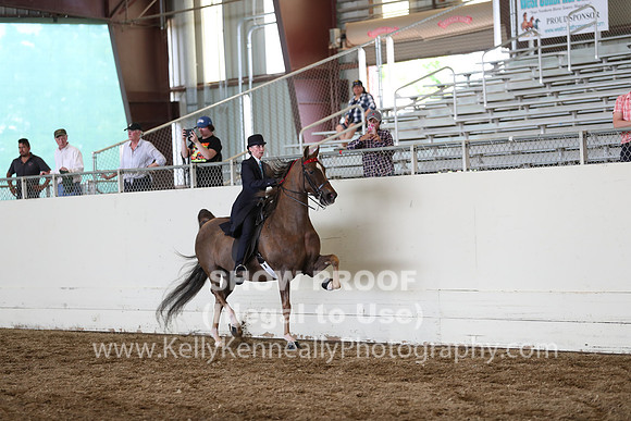 CA_Springfest19_FriPM_0396