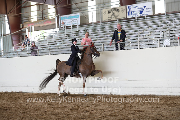 CA_Springfest19_FriPM_0397