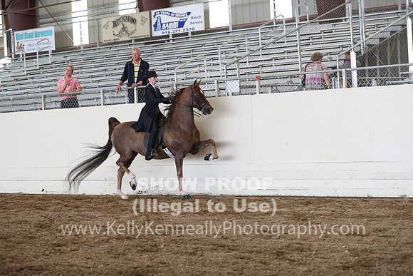 CA_Springfest19_FriPM_0398