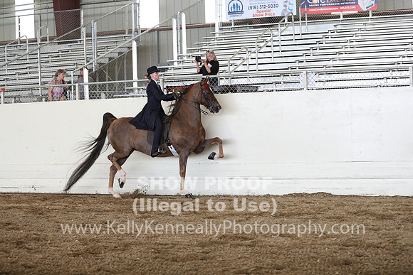 CA_Springfest19_FriPM_0399