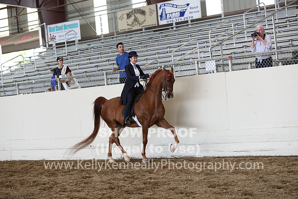 CA_Springfest19_FriPM_0706