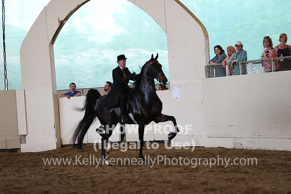 CA_Springfest19_FriPM_0401