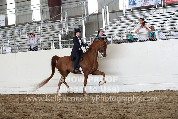 CA_Springfest19_FriPM_0707