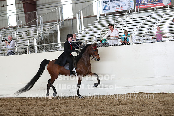 CA_Springfest19_FriPM_0712