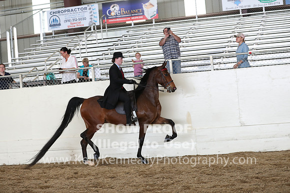 CA_Springfest19_FriPM_0713