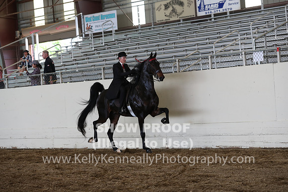 CA_Springfest19_FriPM_0405