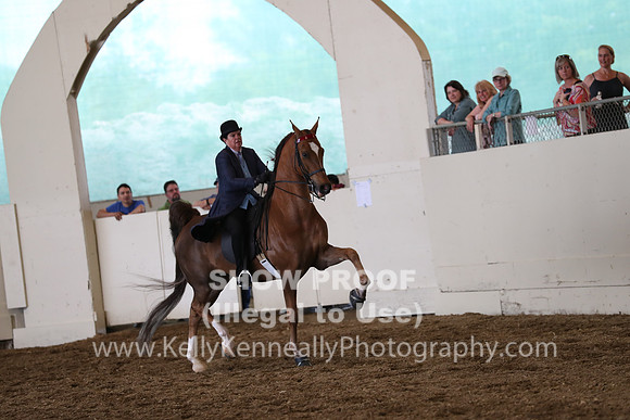 CA_Springfest19_FriPM_0407