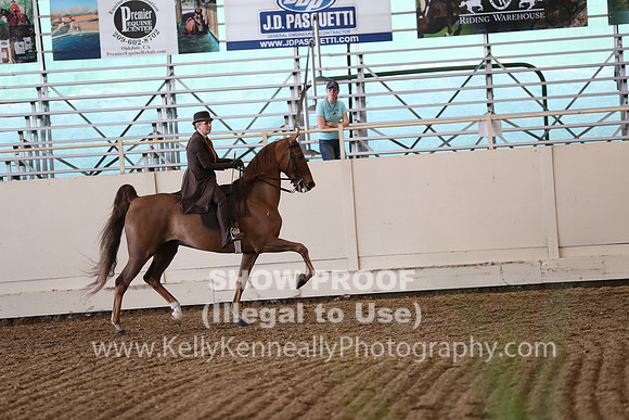 CA_Springfest19_FriPM_0714