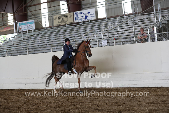 CA_Springfest19_FriPM_0412