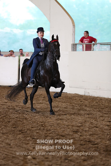 CA_Springfest19_FriPM_0718