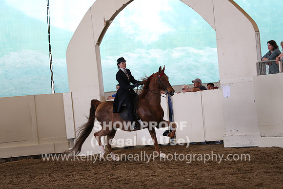 CA_Springfest19_FriPM_0421