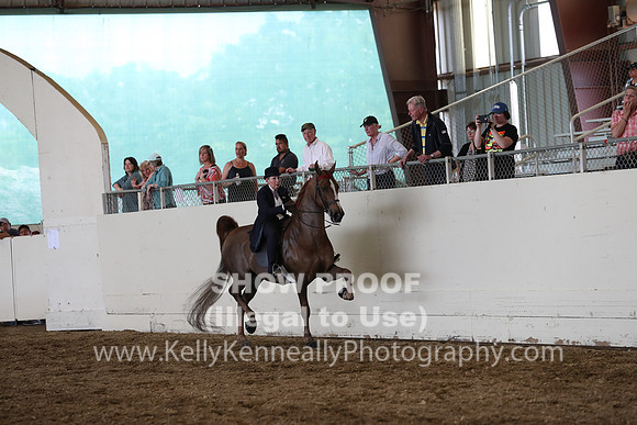CA_Springfest19_FriPM_0425