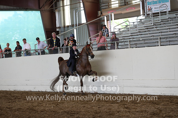 CA_Springfest19_FriPM_0427