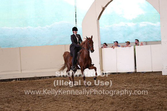 CA_Springfest19_FriPM_0720