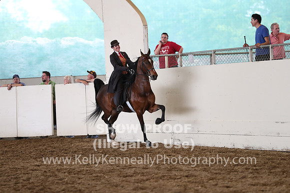 CA_Springfest19_FriPM_0724