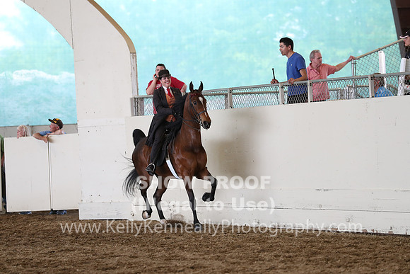 CA_Springfest19_FriPM_0725