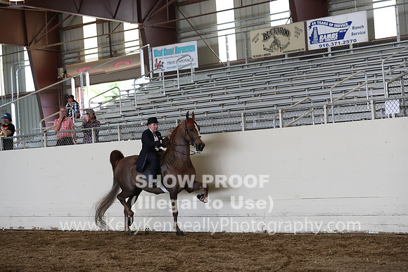 CA_Springfest19_FriPM_0428