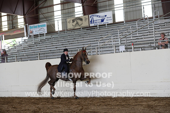 CA_Springfest19_FriPM_0429