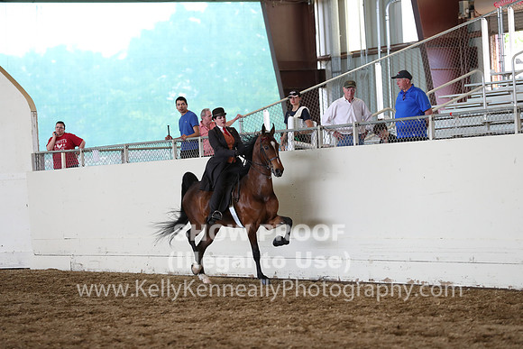 CA_Springfest19_FriPM_0726