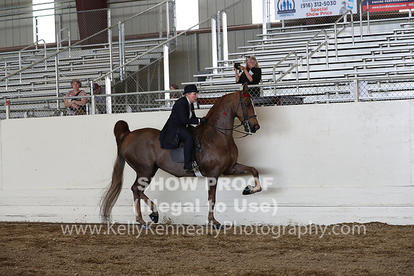 CA_Springfest19_FriPM_0430
