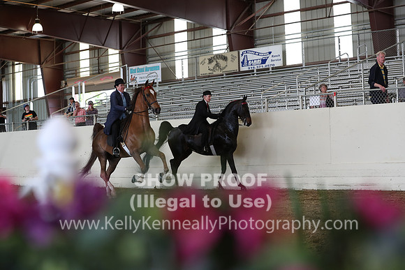 CA_Springfest19_FriPM_0431