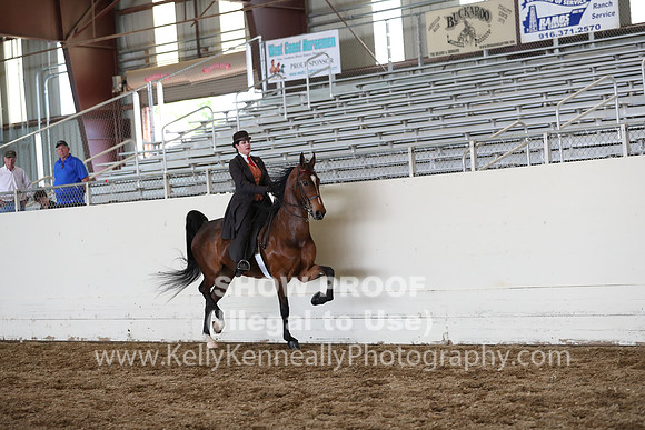 CA_Springfest19_FriPM_0728