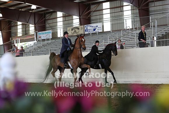 CA_Springfest19_FriPM_0432