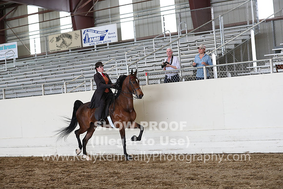 CA_Springfest19_FriPM_0730