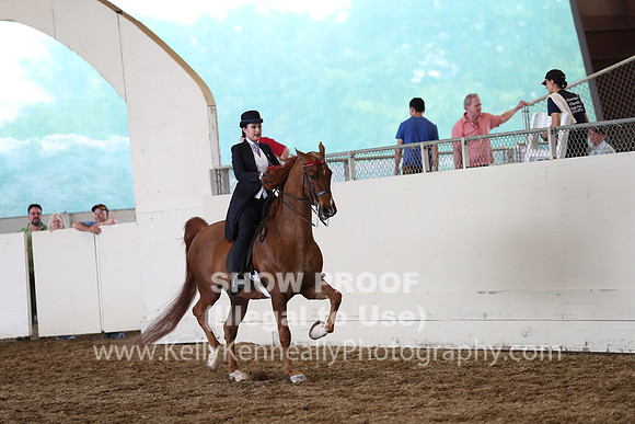 CA_Springfest19_FriPM_0732
