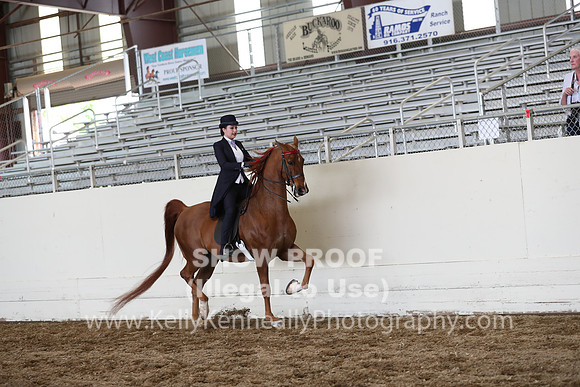 CA_Springfest19_FriPM_0734