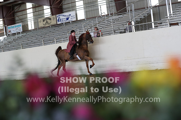 CA_Springfest19_FriPM_0434