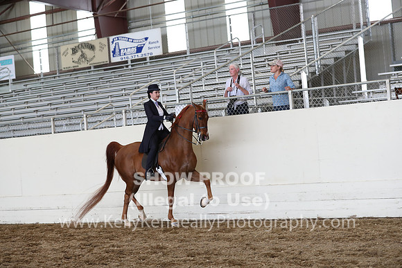 CA_Springfest19_FriPM_0735