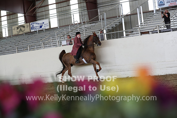 CA_Springfest19_FriPM_0435