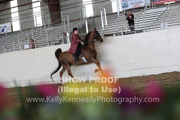 CA_Springfest19_FriPM_0436
