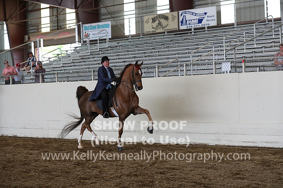 CA_Springfest19_FriPM_0440