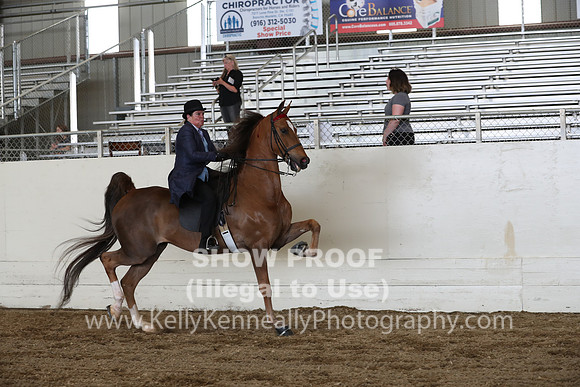 CA_Springfest19_FriPM_0441