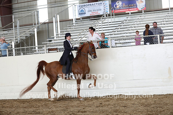 CA_Springfest19_FriPM_0736