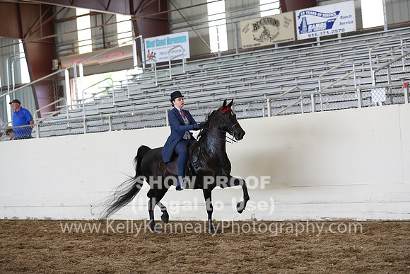 CA_Springfest19_FriPM_0737