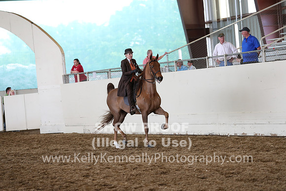 CA_Springfest19_FriPM_0742