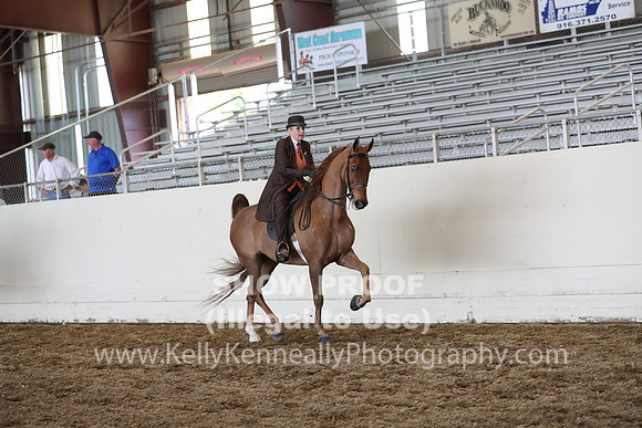 CA_Springfest19_FriPM_0745