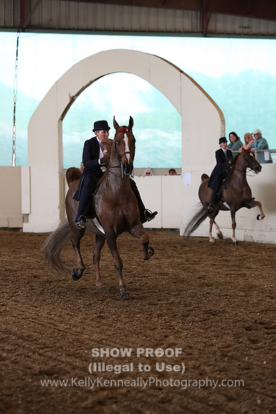 CA_Springfest19_FriPM_0445