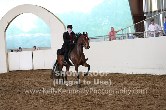 CA_Springfest19_FriPM_0748