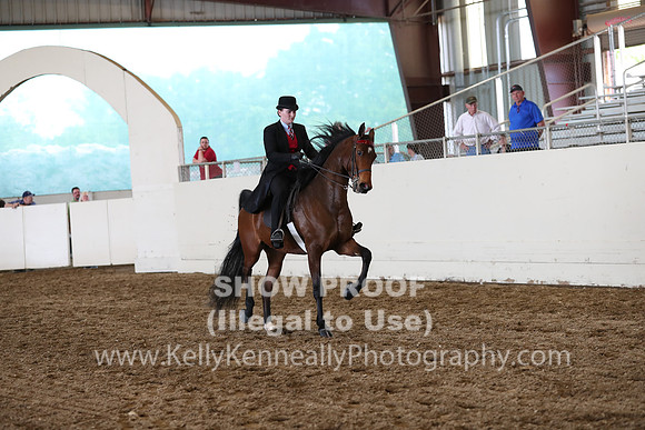 CA_Springfest19_FriPM_0749