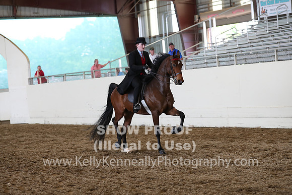 CA_Springfest19_FriPM_0750