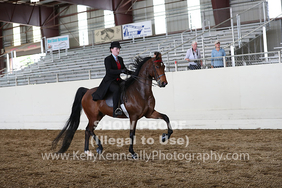 CA_Springfest19_FriPM_0751