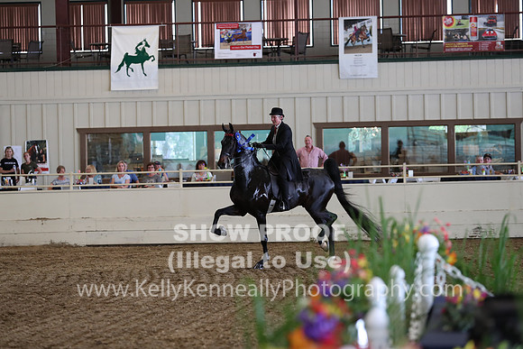CA_Springfest19_FriPM_0453